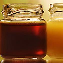 Каким образом мед убивает бактерии