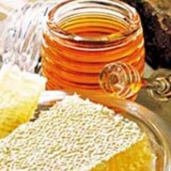 Мед надежнее и целебнее антибиотиков