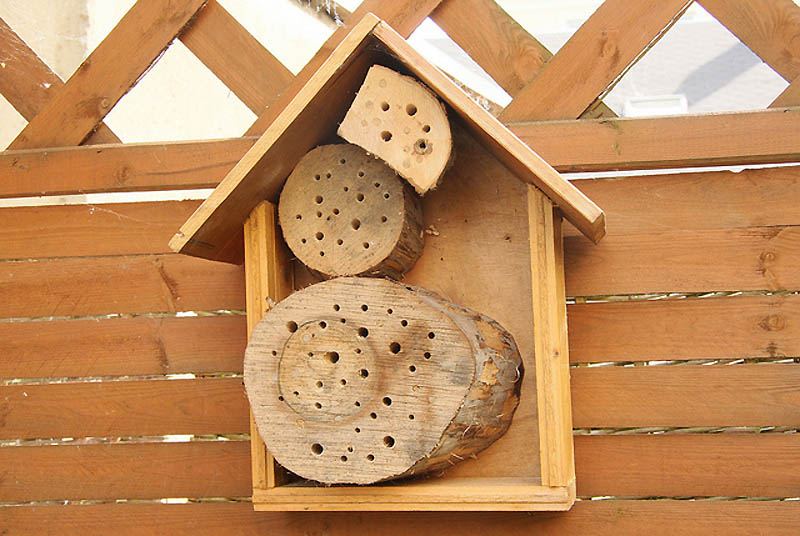 Отель для пчёл | Пчелиные отели имеют самые разные формы и размеры. Однако, есть несколько черт, которые объединяют все эти строения. Во-первых, это материалы, обычно при постройке жилья для пчел используют дерево, бамбук, плитку или просто старую кирпичную кладку. Во-вторых, отверстия должны иметь небольшой уклон, дабы защитить постояльцев от дождя. И, наконец, отверстия должны быть гладкими и ровными внутри, чтобы не поранить пчел.