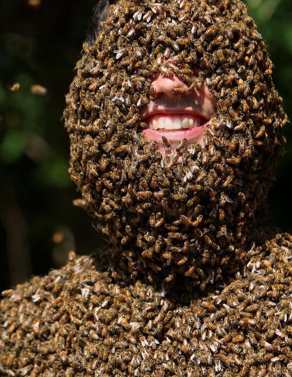 Канадские фермеры провели конкурс пчелиной бороды | Среди критериев оценки был не только вес, но и форма «бороды».