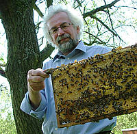 Тауц – руководитель университетской группы по изучению пчёл BEEgroup (фото Alice Natter).