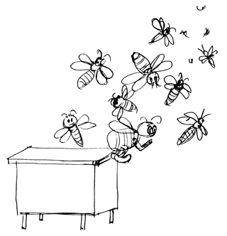 Цикл развития пчелиной семьи