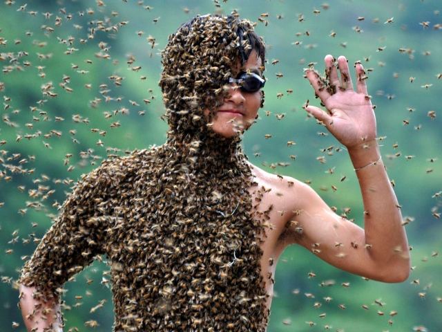 Китайца облепили 26 килограмм пчел