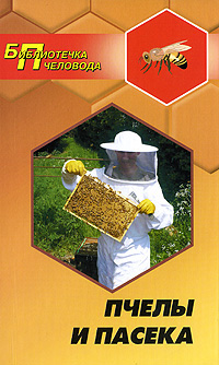 Пчелы и пасека