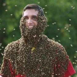 Канадские фермеры провели конкурс пчелиной бороды