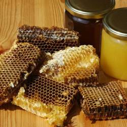Электронный язык быстро распознает некачественный мёд